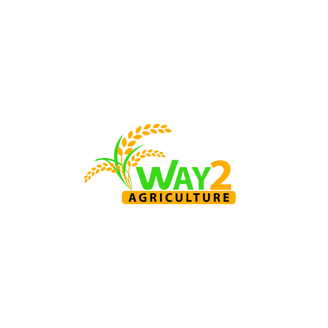 Way 2